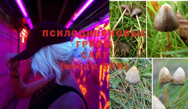 марки lsd Приозерск