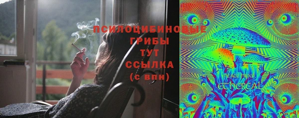 мдпв Покачи