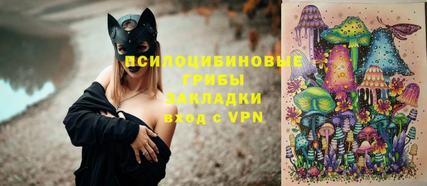 мдпв Покачи