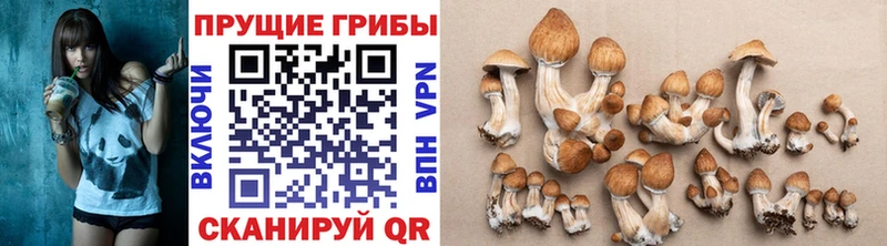 Галлюциногенные грибы мухоморы  MEGA ссылка  Курлово 
