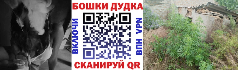 Бошки Шишки тримм Курлово